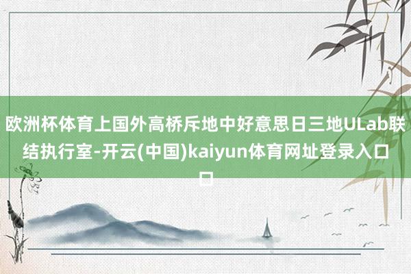 欧洲杯体育上国外高桥斥地中好意思日三地ULab联结执行室-开云(中国)kaiyun体育网址登录入口