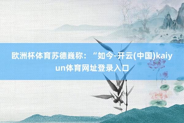欧洲杯体育　　苏德巍称：“如今-开云(中国)kaiyun体育网址登录入口