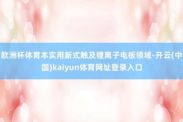 欧洲杯体育本实用新式触及锂离子电板领域-开云(中国)kaiyun体育网址登录入口